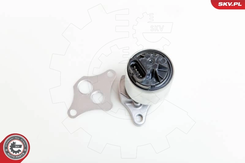 EGR Valve